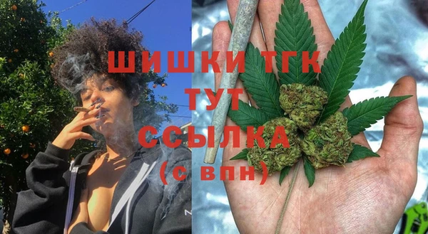 2c-b Елабуга