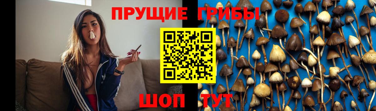 Галлюциногенные грибы Magic Shrooms  Вход с VPN  Богородицк 
