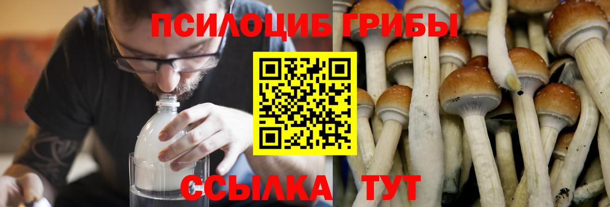 Псилоцибиновые грибы мухоморы Богородицк
